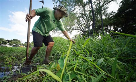 robert silva kemono|One Man’s Quest To Revive A Forgotten Kalihi Park.
